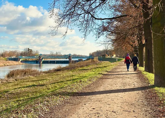 Surf Biskupin فروتسواف
